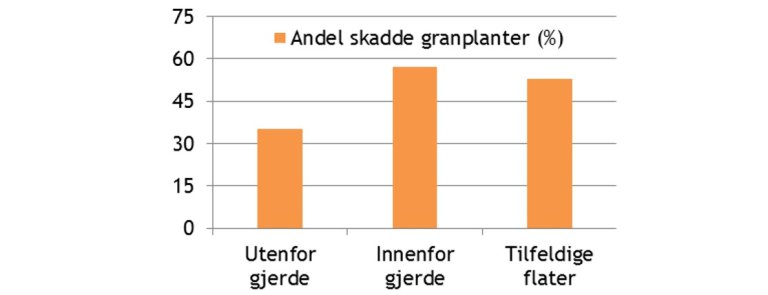 Viltskadesenter_skogtamfe_2.jpg