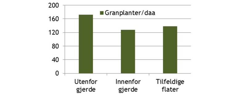 Viltskadesenter_skogtamfe_1.jpg