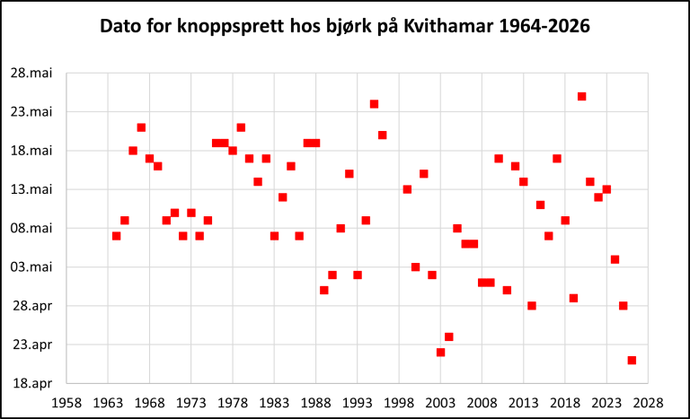 Figur-Knoppsprett-Kvithamar-1964-2026.png