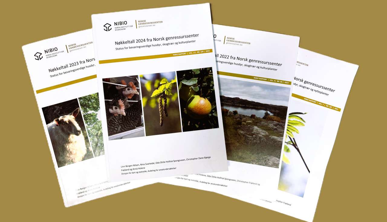 Nøkkeltallrapporter_brun_bakgrunn