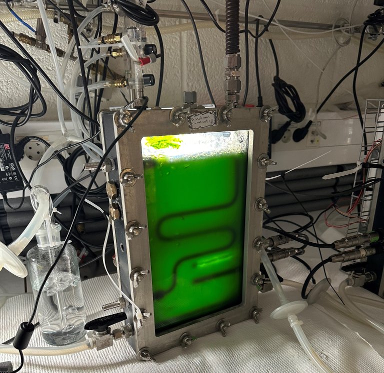 Desmo FP-PBR bk jan2023.jpg