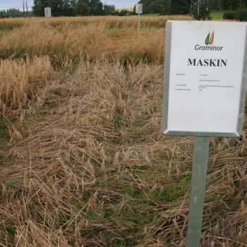 Maskinbygg-1_Petter-Marum