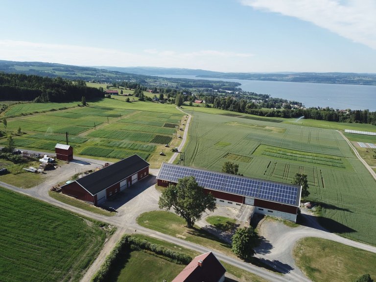 solar_panels.jpg
