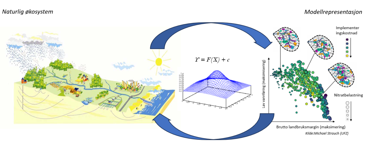 Figure1c