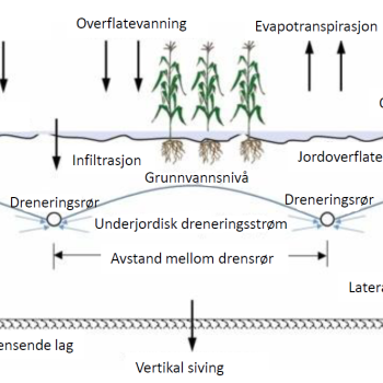 Fig4_1