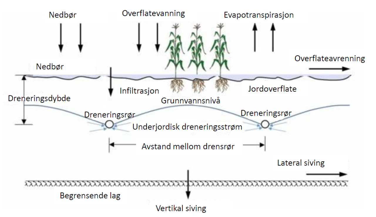 Fig4_1
