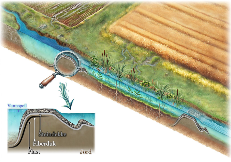 Illustrasjon av en fangdam i jordbrukslandskap, med fokus på konstruksjon og funksjon. Bildet viser vannets vei fra jordene gjennom dammen, der vegetasjon og sedimentasjon bidrar til å filtrere forurensninger. Detaljinnfelt illustrerer damkonstruksjonen, inkludert vannspeil, steindekke, fiberduk, plast og jord, som sikrer stabilitet og effektiv vannfiltrering.