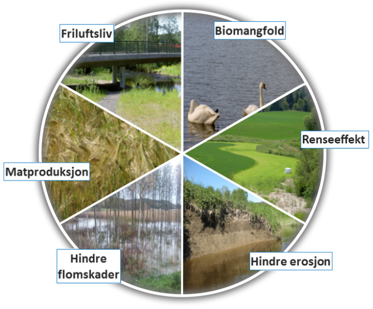 En sirkelinndelt illustrasjon som viser seks forskjellige temaer knyttet til miljø og natur. Hver del inneholder et bilde og en tekst:      Friluftsliv – bilde av en bro over en bekk i et naturlandskap.     Biomangfold – bilde av to svaner som svømmer på en innsjø.     Renseeffekt – bilde av grønne jorder og en åpen, naturlig bekk.     Hindre erosjon – bilde av en elvebredd med synlige jordlag.     Hindre flomskader – bilde av et område oversvømt av vann.     Matproduksjon – bilde av en frodig kornåker.  Bildet oppsummerer ulike funksjoner og fordeler knyttet til vann og jordbruk i naturen.