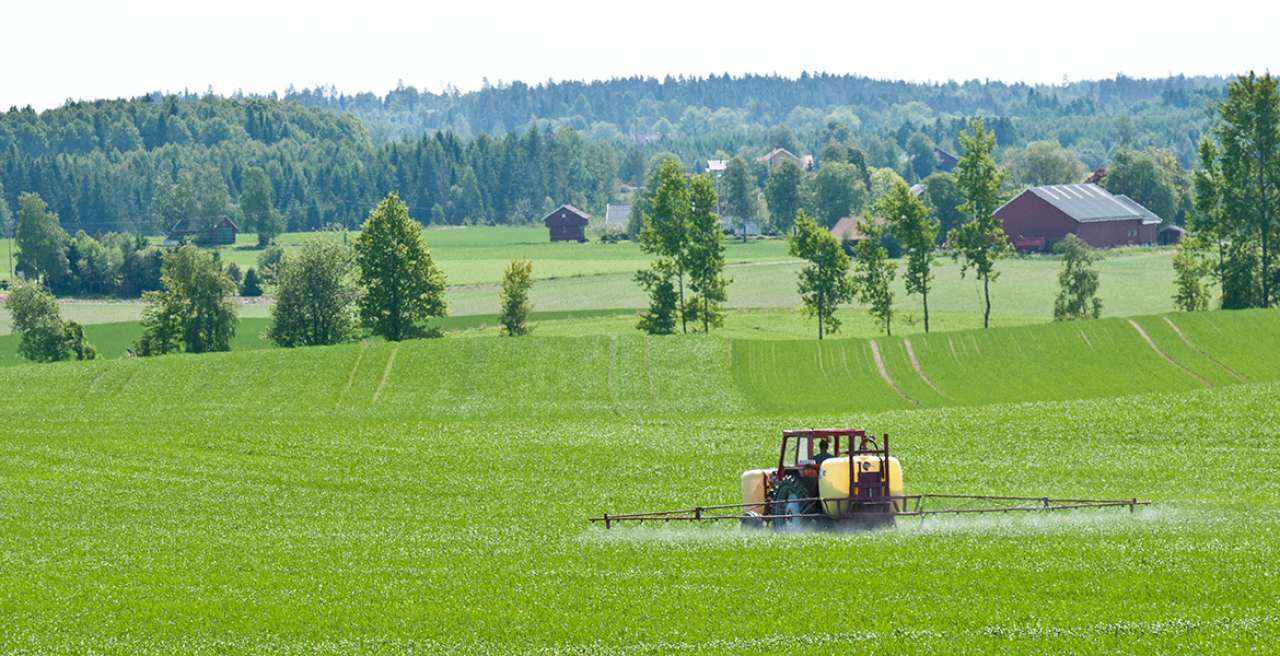 Sprøyting i åker