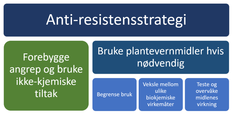 Figur-Anti-resistens-strategi.png
