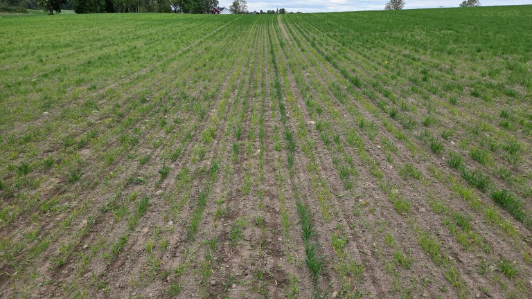 Åkeren avslører det som skjer under bakken MSV.jpg