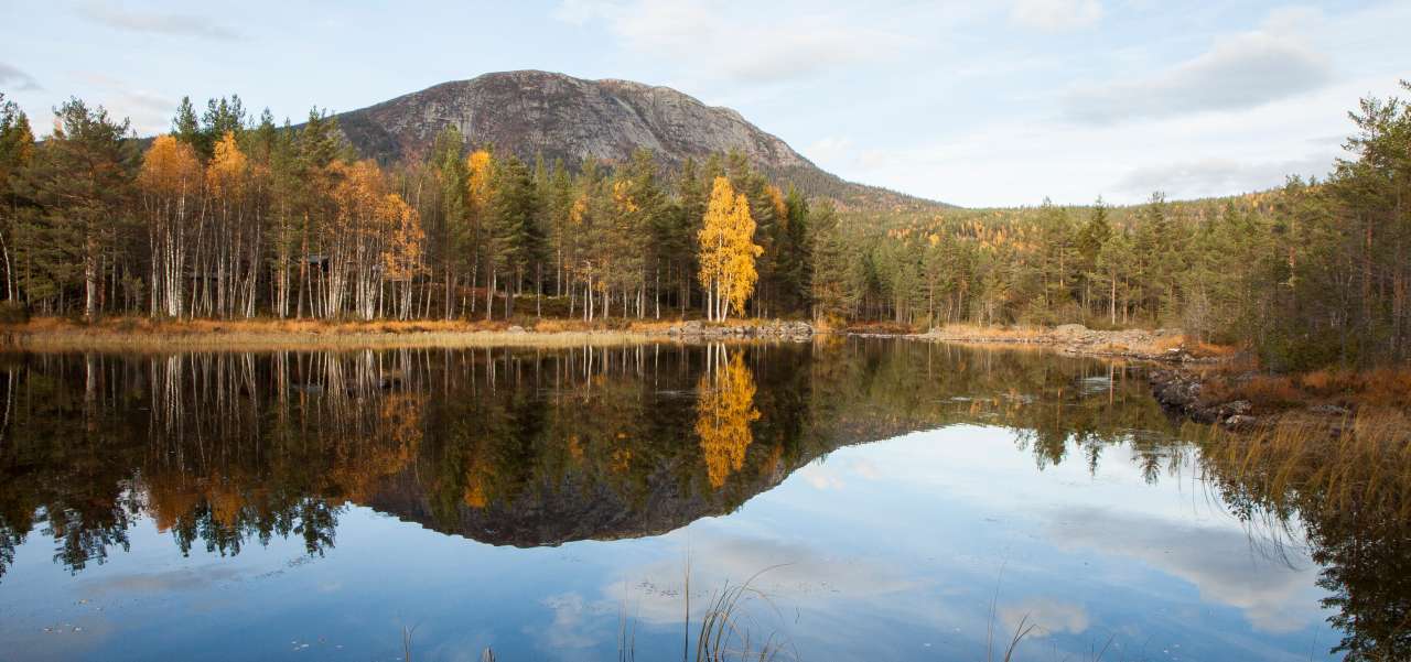 Høst ved Buvatnet